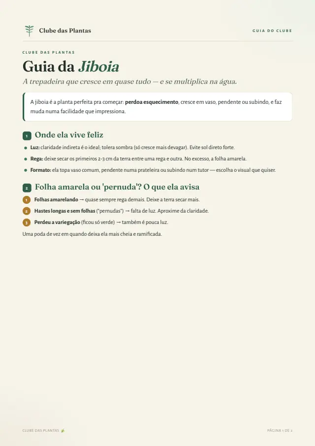 Capa do bônus Fichário das 12 Plantas Mais Amadas