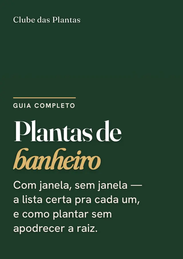 Capa do guia Plantas de Banheiro