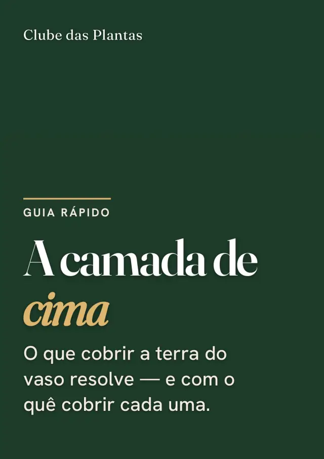 Capa do guia A Camada de Cima
