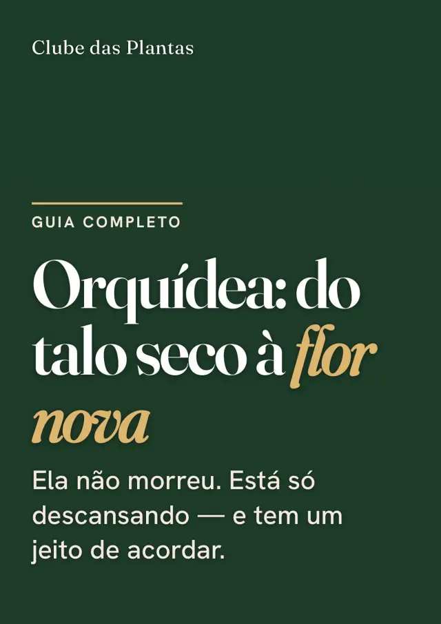 Capa do guia da Orquídea
