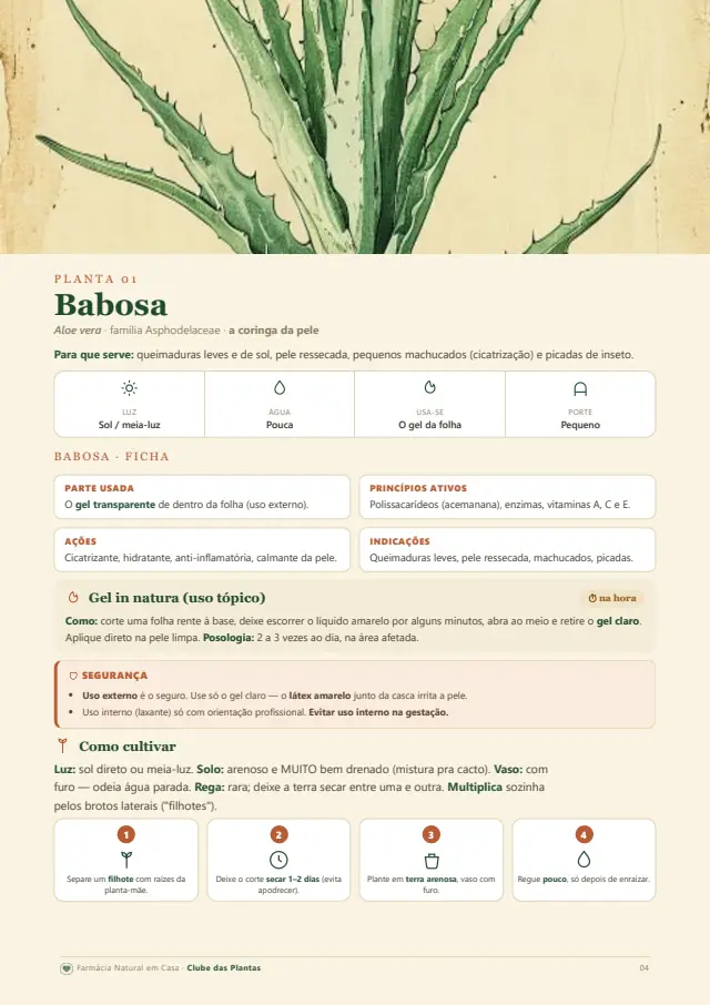 Página interna da Farmácia Natural em Casa: ficha da babosa