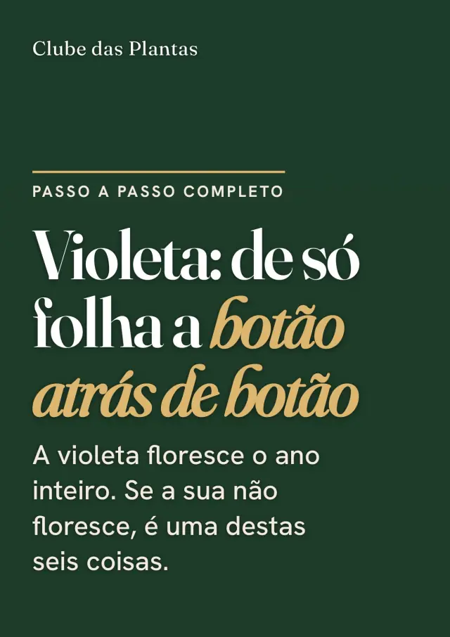 Capa do guia da Violeta