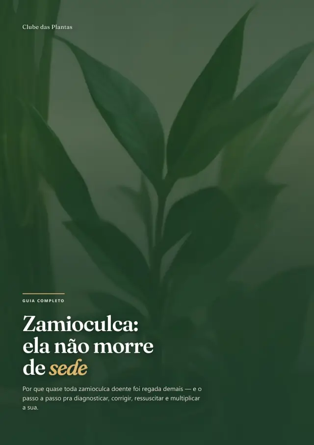 Capa do guia da Zamioculca